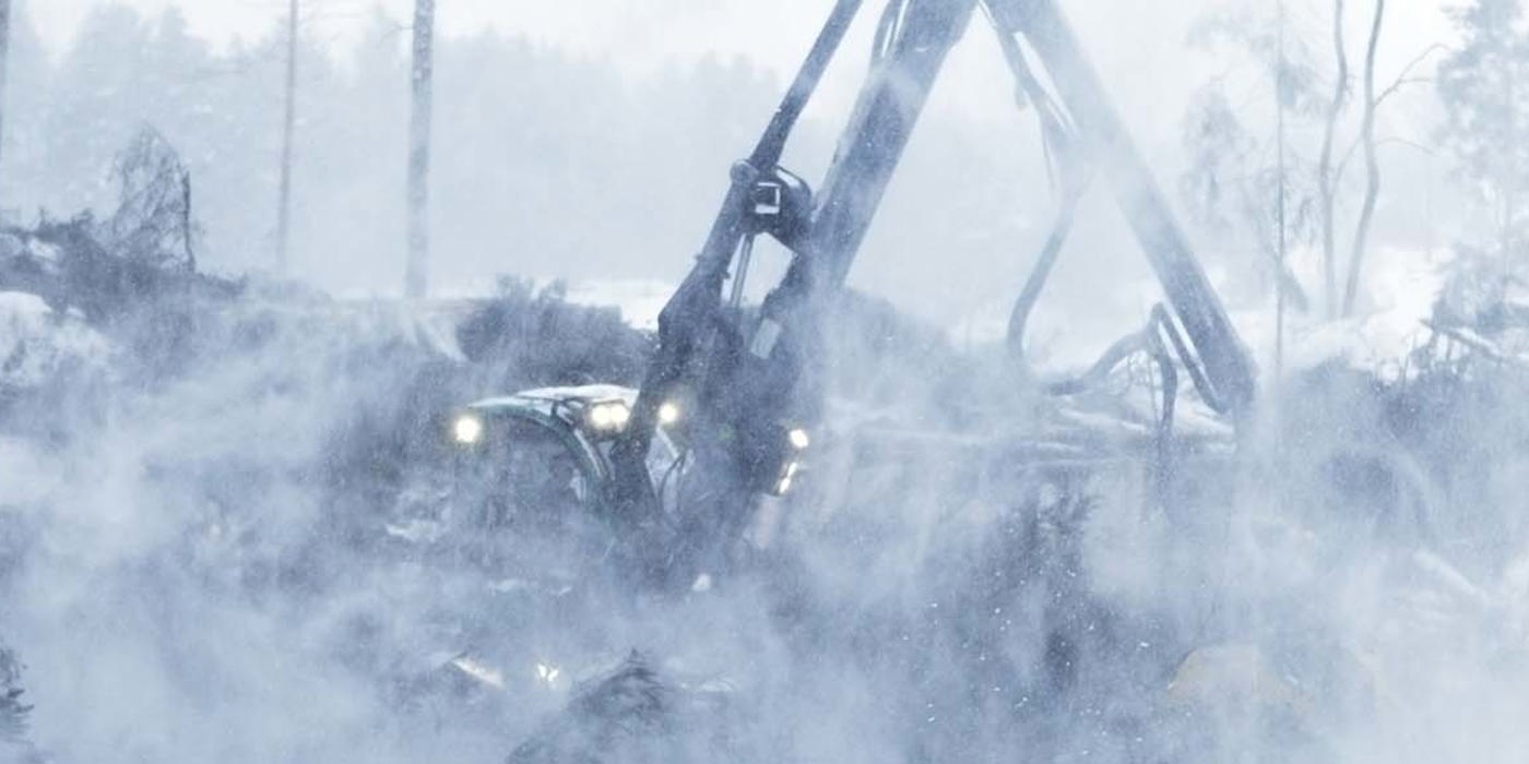 Forestry machine with displays and control solutions for system support.