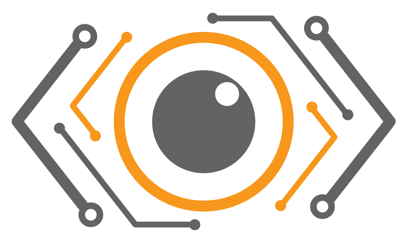 Eye icon in grey and orange
